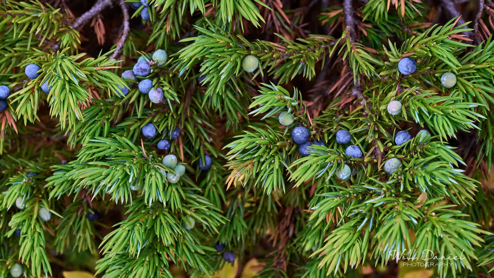 Rocky Mountain National Park trail photo
