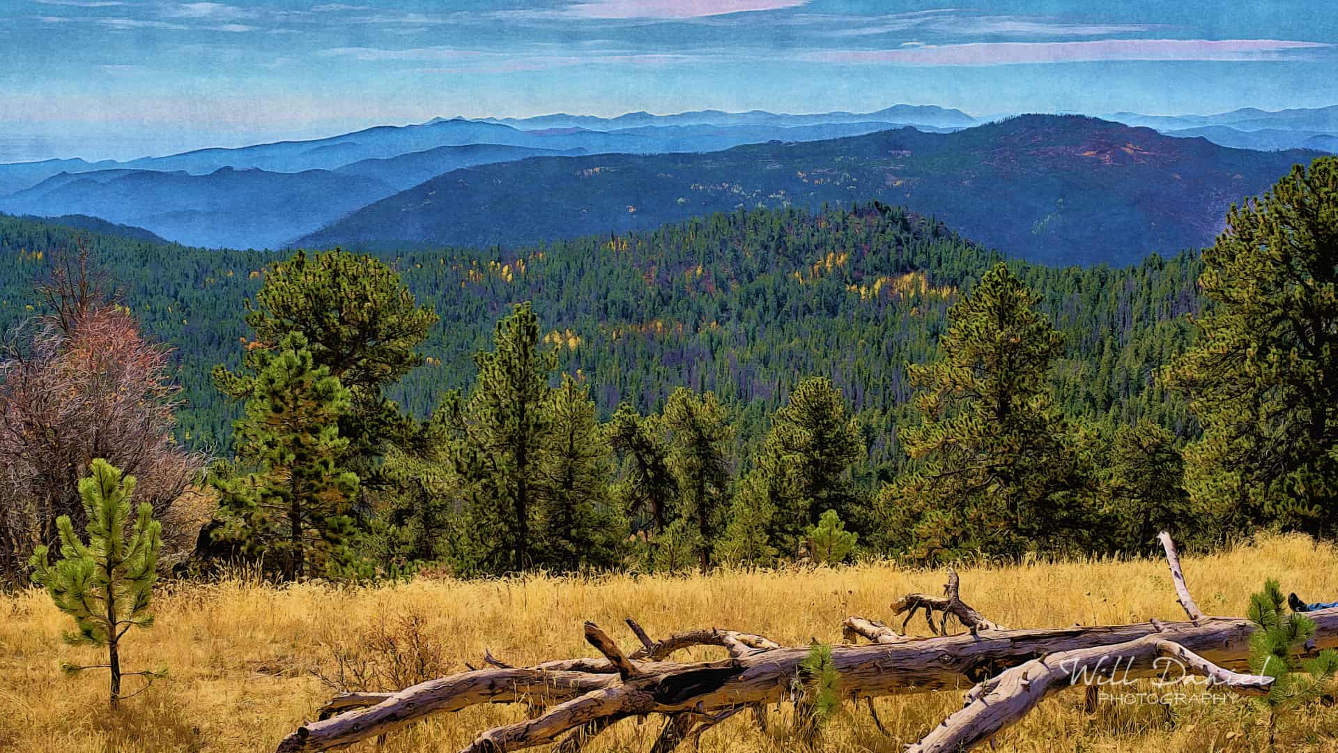 Colorado Remix Photos